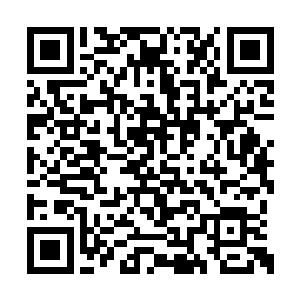 看到了九大宗门和南方四堂修士依旧呆在了仙山二维码生成