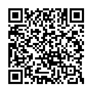 看到了我第八张说的话是不是感觉到非常的震撼二维码生成