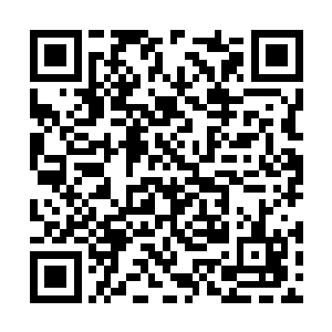 看到了查理兹嘴角因为放松而轻轻勾勒起来的弧度二维码生成