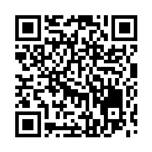 看到了正在房间里站着发呆的小高护白猫猫二维码生成