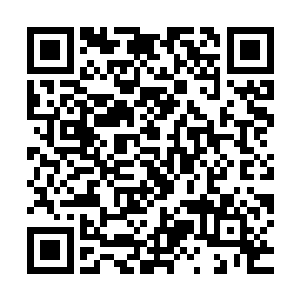 看到了这片大地上的奇人异士以自身的性命阻挡魔民入侵的步伐二维码生成
