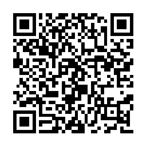 看到了这群雇佣兵和他们持有的联合部队通行证二维码生成