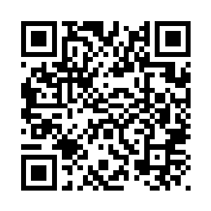 看到五大护法一脸义愤填膺的样子二维码生成