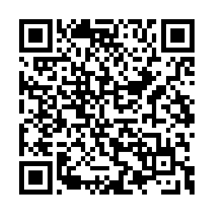 看到从来健健康康几乎都不生病的娘亲忽然晕了二维码生成