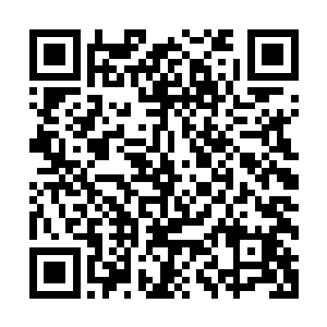 看到他从我的头上摘下了一根不知什么时候落到头发里的枯草二维码生成