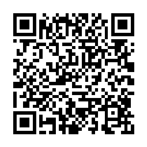 看到他看过来的目光中那并没有散去意思的严肃二维码生成