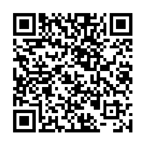 看到众人脸上漏出了不情愿的表情苏凡顿顿了说道二维码生成