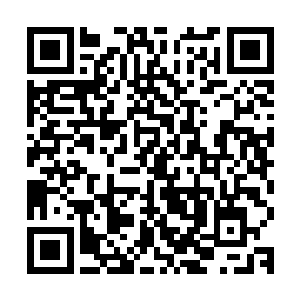 看到元道子脸上的自豪还有这个小子其实还是有点不合格的样子二维码生成