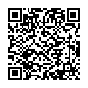 看到叶秋居然敢带着一帮毫无背景的学生冲击名流会二维码生成