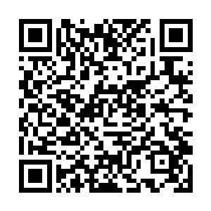 看到周天星斗大阵的力量竟然无法困住那雷虎和雷鸟二维码生成