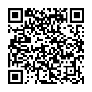 看到唐点点一头柔软的长发有些凌乱的散在枕头上二维码生成