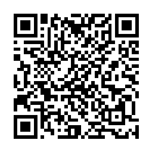 看到四个年纪和他们差不多的孩子进来就瞪大了眼睛去看二维码生成