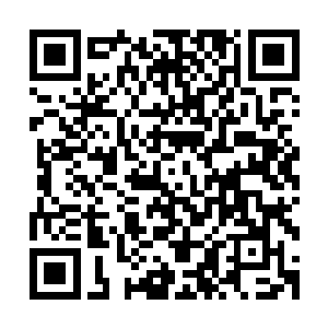 看到夏天居然在重伤的情况下还能发挥出如此强大的木系力量二维码生成