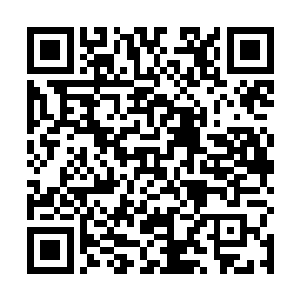 看到她和夏天在那里有说有笑的时候脸色变得十分难看二维码生成