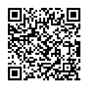 看到如此狂暴的力量居然连一个普通石门没打开二维码生成