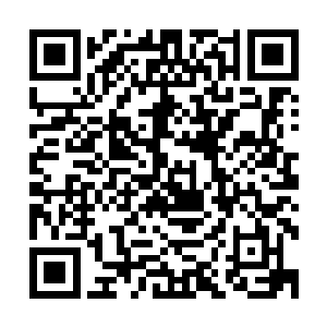 看到妖花爱丽丝的那一堆肉块人的时候再赶紧多啃几口压压惊二维码生成