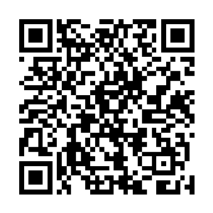 看到威震赛尔内斯战区的传奇人物一下子出现在自己面前二维码生成