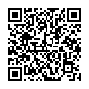 看到孙子轩拿着一柄从外面带进来的多功能工兵铲准备离开二维码生成