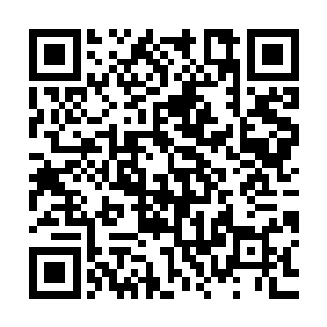 看到学员们脸上的痛苦和愤怒的表情龙傲天知道是出手的时候了二维码生成