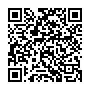 看到宁碎碎一手拿标尺一手拿铅笔正趴在桌子上画着什么二维码生成