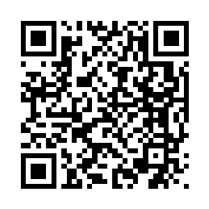 看到安妮的嘴角浮现出了一丝笑容二维码生成