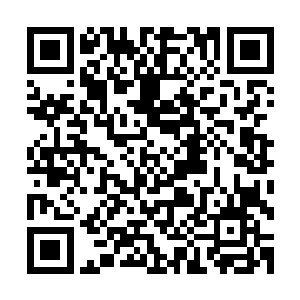 看到小桑只用了大概几息的时光便掌握了地球这个年代的审美二维码生成