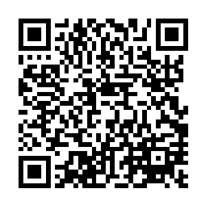 看到小甲和骨头两个家伙又用刚才那种惊诧的目光看着自己二维码生成