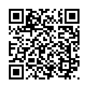 看到我们像狗一样在你面前争来争去二维码生成