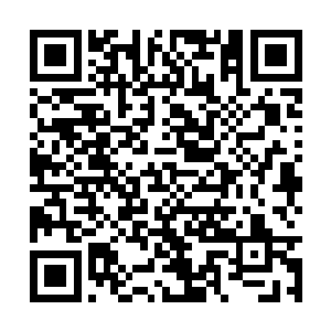 看到或者听到许紫烟一剑击败日月雨三族族长联手二维码生成