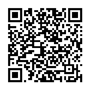 看到最后一页关于冷小野与皇甫耀阳走秀的新闻时二维码生成