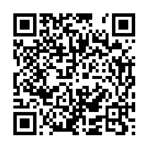 看到朱家的长老和朱家的年轻一代的子弟走了过来二维码生成