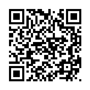 看到朱平安坐在草地上靠着车轮子看书二维码生成