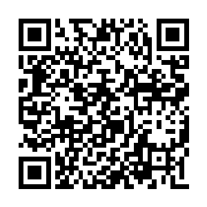 看到林飞夜已经将自己交给他的手法学得差不多二维码生成