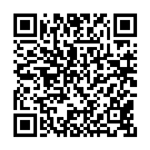 看到楚旬竟然能够忍着焚身剧痛朝自己发起攻击二维码生成