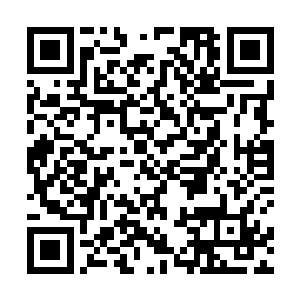 看到江少游将那么长的两根针扎到了自己阿姨的脑袋里二维码生成