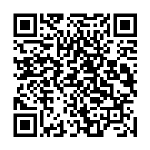 看到江少游的双臂竟然就在这一会儿的功夫增粗了一半左右二维码生成