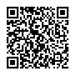 看到洛倾婉的脸上和身上满是未处理干净的尘土二维码生成