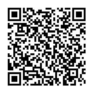 看到灰了吧唧的小家伙躺在柔软的兽皮小窝里凌菲突然想起它的兄弟来二维码生成