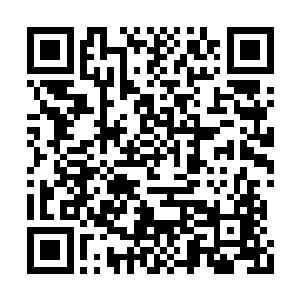 看到父亲脸上的郑重之色和母亲脸上的担忧之色二维码生成