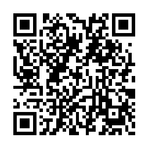 看到爷爷的头发和眉毛都被山上的露水给打湿了二维码生成