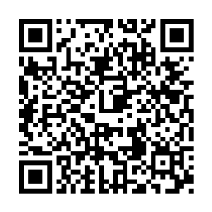 看到玉建达被重病折磨的不成人样的消瘦身子骨二维码生成
