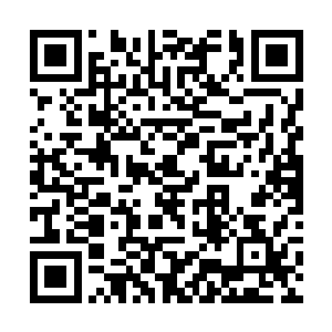 看到的竟然是本喵……本喵还真看不上这小龙小凤凰二维码生成