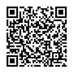 看到的赫然是那张曾经让她羡慕嫉妒恨的完美容颜二维码生成