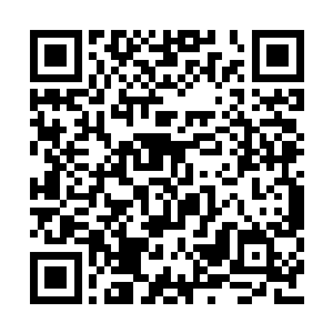 看到眼前这位美女一双美目笑意盈盈的看着自己二维码生成