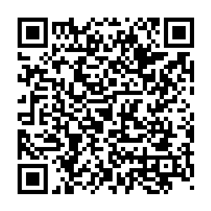 看到破开得一个个冰窟窿下面有一头头鳞片嶙峋得海兽从水面上游过二维码生成