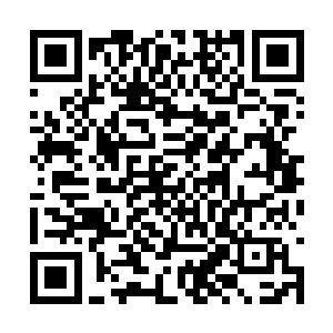 看到秦嫣然手机里自己作为发件人下面空白的一片二维码生成