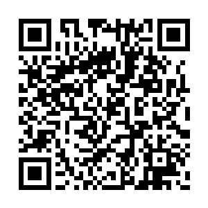 看到管委会南边的那条土路上停了很多施工车辆二维码生成