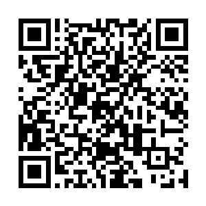 看到米迦勒将体内所有的杀戮力量都逼迫到了右翼之中二维码生成