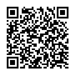 看到肤白唇红高挑健美的番邦美女高调示爱时眼里的不认同二维码生成