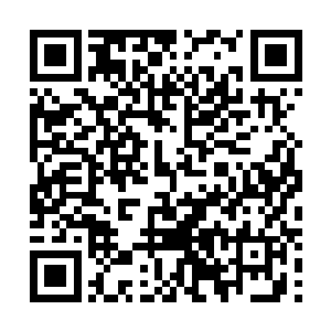 看到能干沉就干沉不能干沉纠集了全家老小也要继续干沉二维码生成